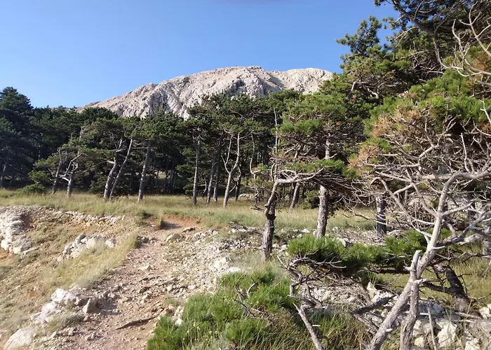 Apartmani Baska S Pogledom Na More